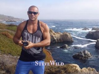 Steve_Wild