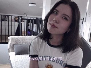 Sakuraflower