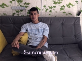 Salvatredelrey