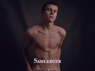 Samledger