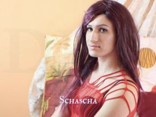 Schascha