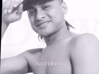 Scottrosee