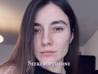 Seekeroftheone