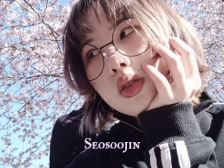 Seosoojin
