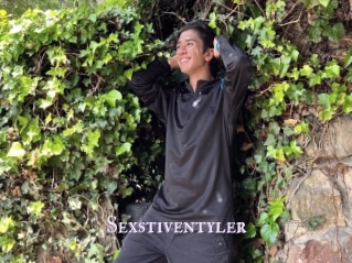 Sexstiventyler