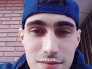Skyleer