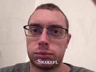 Snakefl