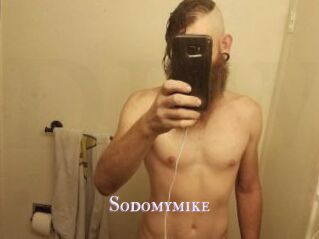 Sodomymike
