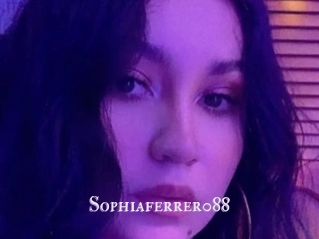 Sophiaferrer088