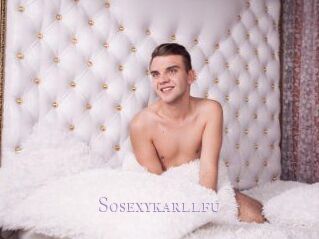 Sosexykarllfu