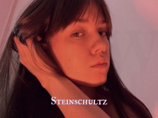 Steinschultz