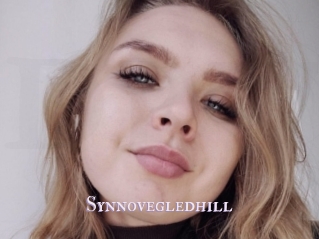 Synnovegledhill