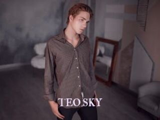 TEO_SKY
