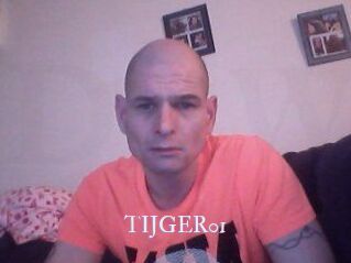 TIJGER01