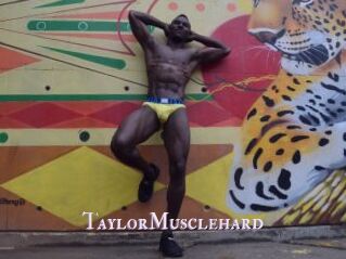 TaylorMusclehard