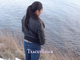 TeacupTiger