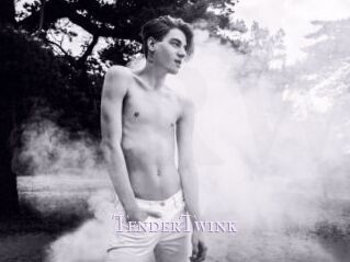 TenderTwink