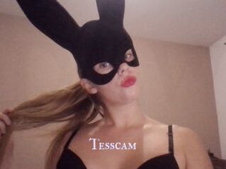 Tesscam