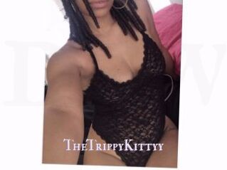 TheTrippyKittyy