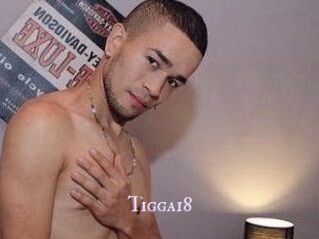 Tigga18