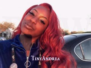 TinyAndrea