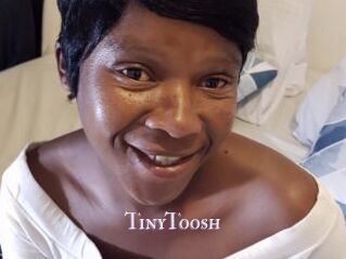TinyToosh