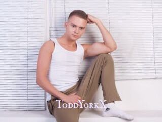 ToddYorkX