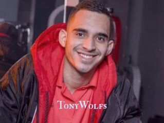 TonyWolfs