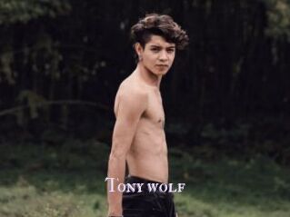 Tony_wolf