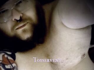 Toyservent