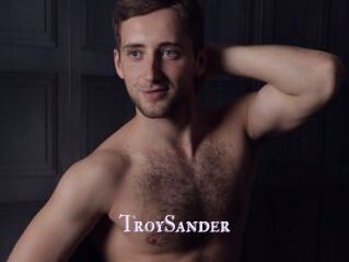 TroySander