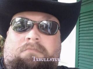 Txbullstud