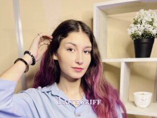 Taitegriff