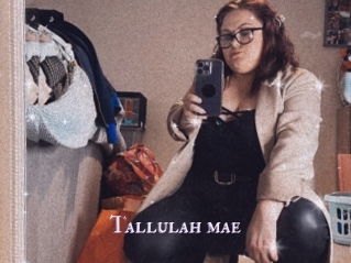 Tallulah_mae