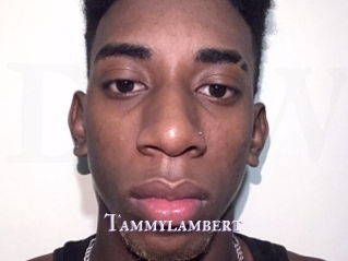 Tammylambert