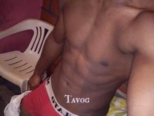 Tavog