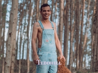 Teddhill