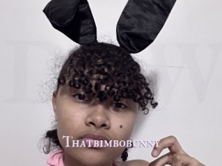 Thatbimbobunny