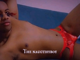 The_naugthyboy
