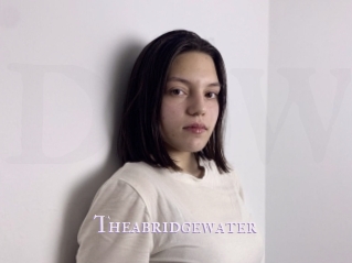 theabridgewater X Drow
