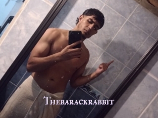 Thebarackrabbit