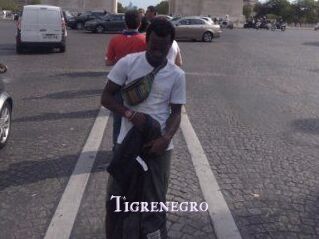 Tigrenegro