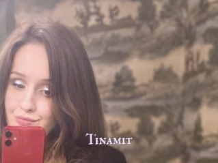 Tinamit