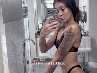 Tiny_taylorr