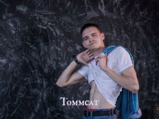 Tommcat