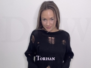 Torisan