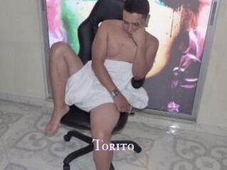 Torito