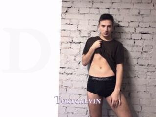 Torycalvin