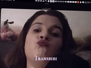 Transbibi