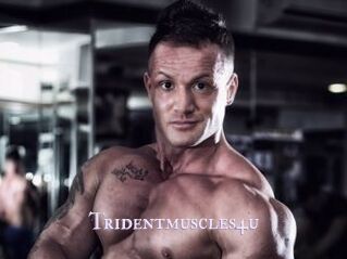 Tridentmuscles4u